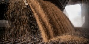 Ucrania acusa a Rusia de robar más de 180.000 toneladas de grano a través del puerto de Mariúpol