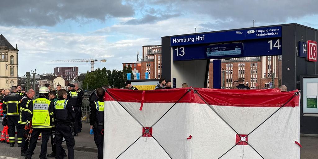 Al menos 12 heridos, tres de ellos en estado crítico, en un apuñalamiento en la estación de trenes de Hamburgo