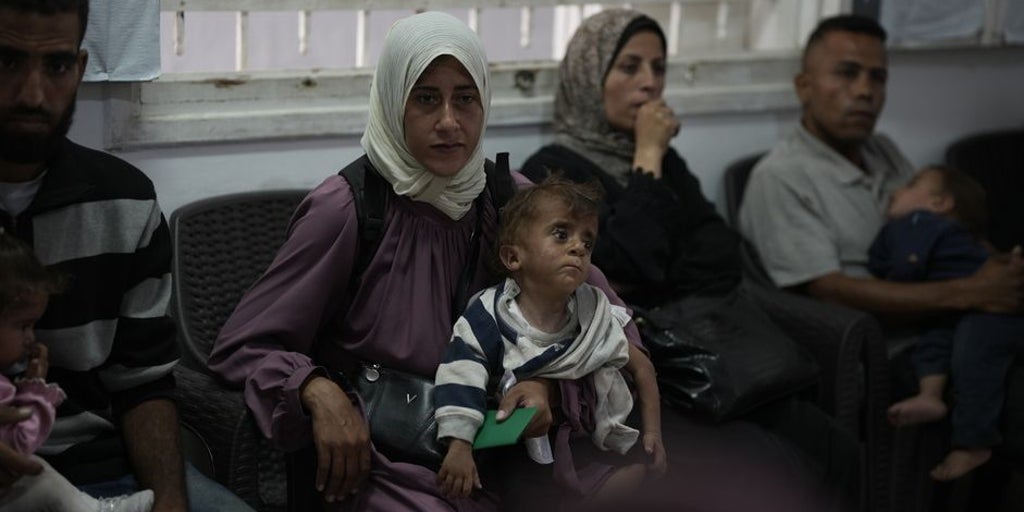 «Sería mejor que cayera una bomba en Gaza y muriéramos de una vez, en lugar de morir poco a poco cada día»