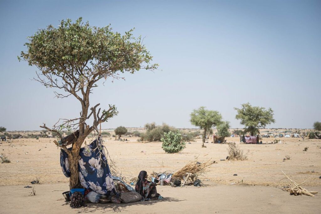 La ONU lamenta que los civiles "pagan el precio más alto" del conflicto en Sudán tras el ataque de RSF en Darfur (Sudán)