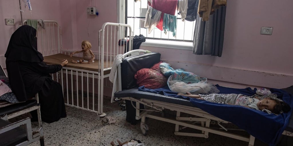 «La hambruna en Gaza es una tormenta perfecta de desnutrición, enfermedad y guerra»