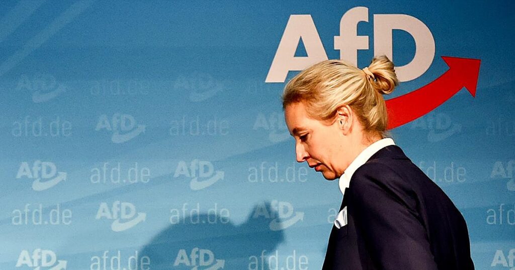 AfD ya es el partido más apoyado por los alemanes, según las encuestas
