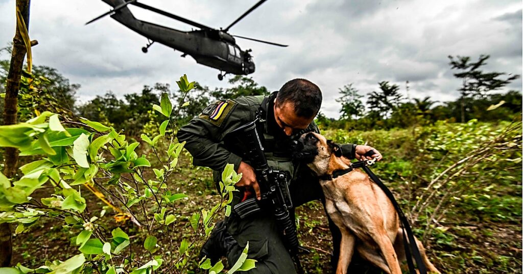 Cocaína, la guerra que Colombia no logra ganar