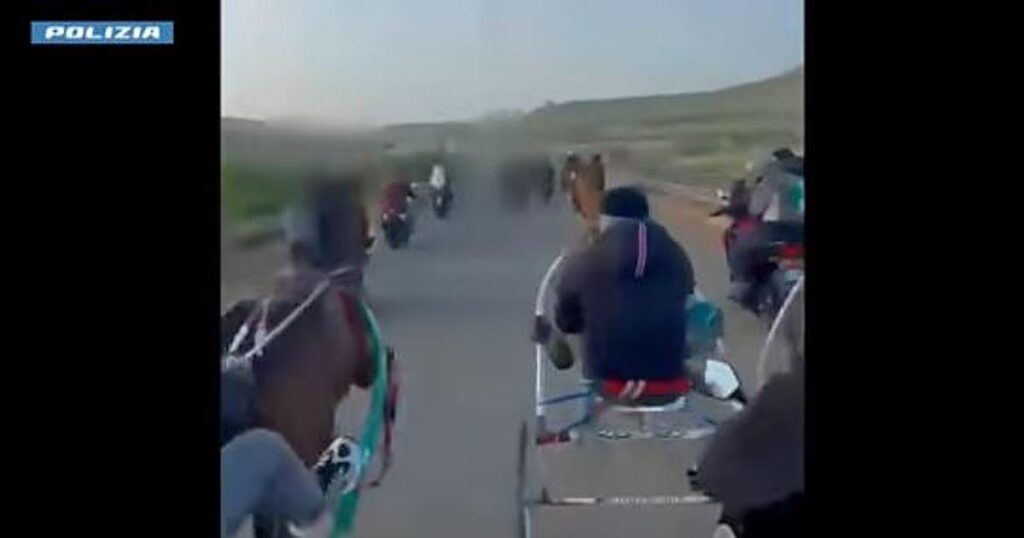Investigan una carrera clandestina de caballos con disparos de kalashnikov en Sicilia