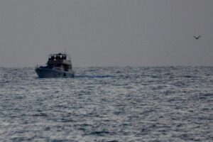 Israel deporta a "todos los activistas extranjeros" de la flotilla interceptada en el mar Mediterráneo