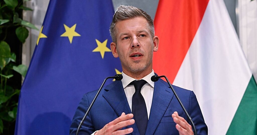 Magyar inicia en Polonia una «nueva era» en las relaciones de Hungría con Europa