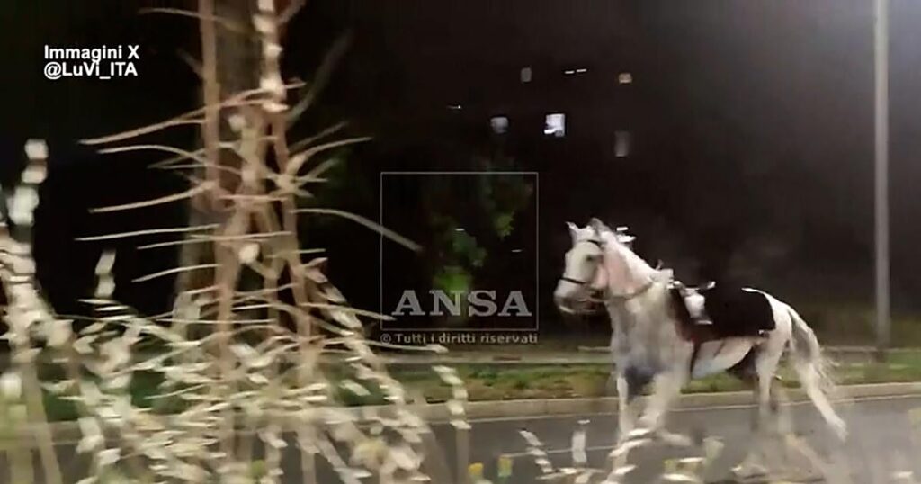 Tres heridos tras escaparse 30 caballos asustados por unos fuegos artificiales en Roma