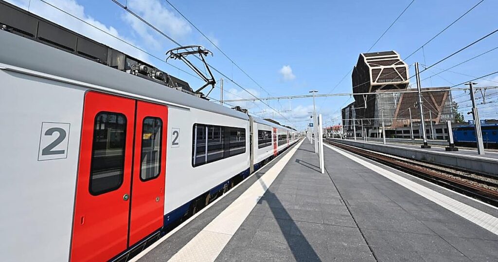 Un canguro a la fuga interrumpe parte del servicio ferroviario en Bélgica