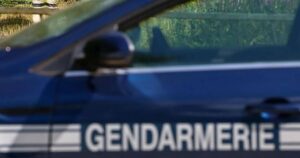 Mueren dos gemelas de 15 meses e ingresan a sus cuatro hermanos por deshidratación en Francia