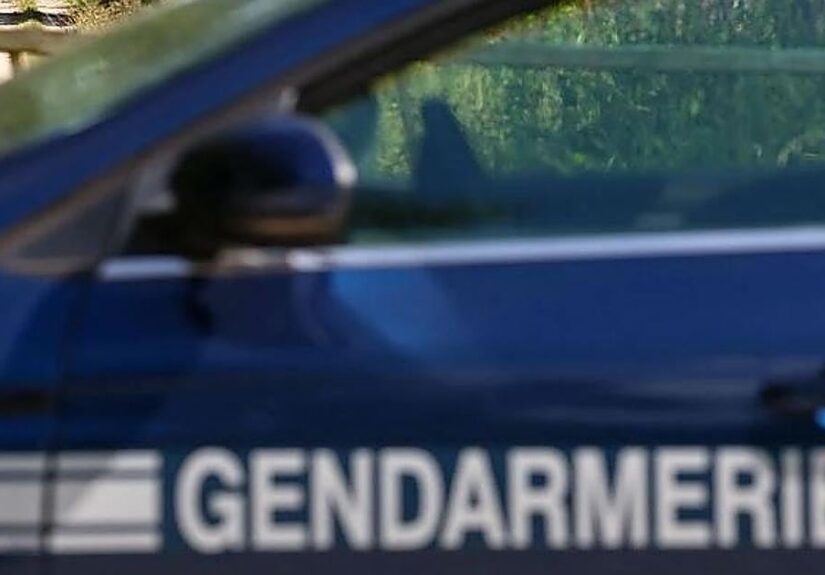 Mueren dos gemelas de 15 meses e ingresan a sus cuatro hermanos por deshidratación en Francia