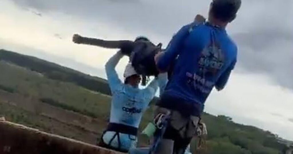 la explicación de los instructores de puenting que lanzaron a una joven sin cuerda en Brasil