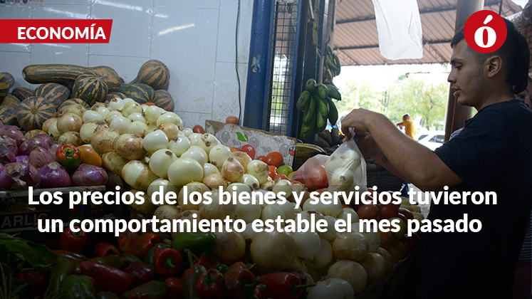 Cebolla, papa y arriendos presionan el bolsillo en Cúcuta, ¿la inflación es moderada?