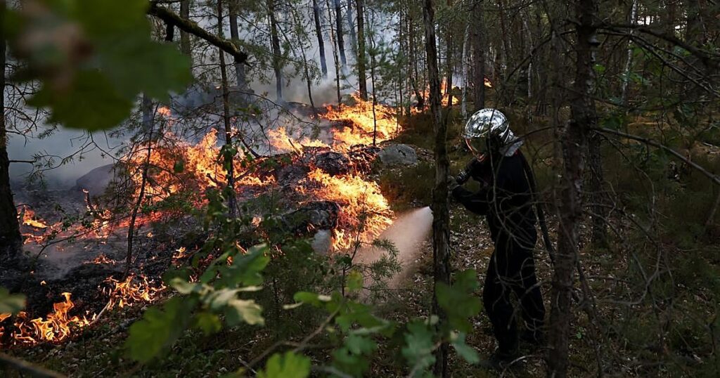 «Controlado» el incendio en Fontainebleau, después de calcinar más de 2.000 hectáreas al sur de París