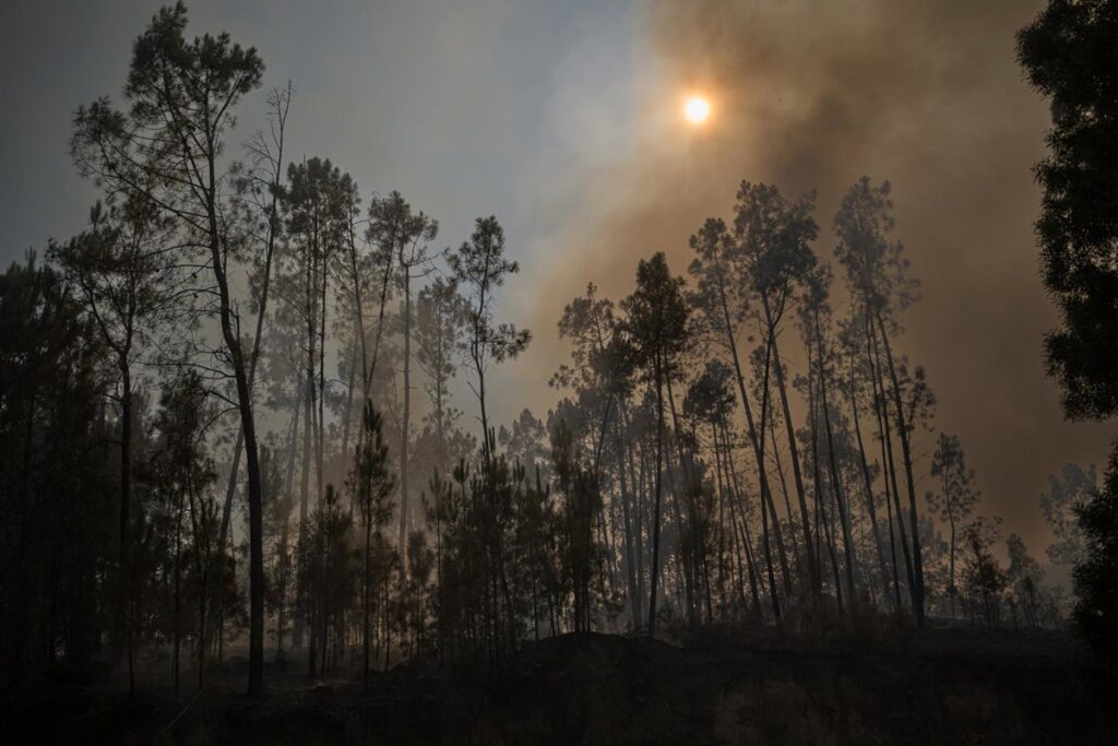 El fuego de Vouzela (Portugal) podría quedar controlado este mismo domingo tras arrasar 13.000 hectáreas
