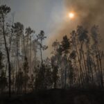 El fuego de Vouzela (Portugal) podría quedar controlado este mismo domingo tras arrasar 13.000 hectáreas