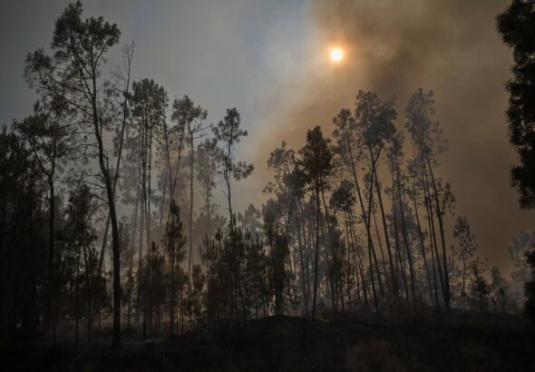 El fuego de Vouzela (Portugal) podría quedar controlado este mismo domingo tras arrasar 13.000 hectáreas