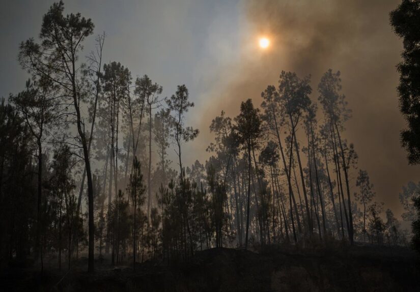 El fuego de Vouzela (Portugal) podría quedar controlado este mismo domingo tras arrasar 13.000 hectáreas