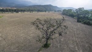 Gobierno declarará desastre nacional por fenómeno de El Niño