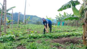 Gremios agrícolas reciben con expectativa designación de nuevo Minagricultura