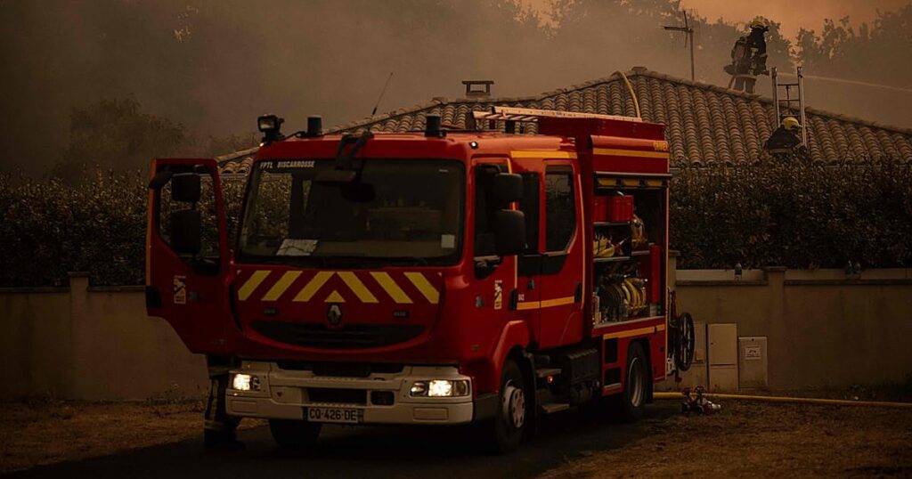 Investigan el uso de gatos vivos para propagar incendios en Italia