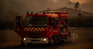 Investigan el uso de gatos vivos para propagar incendios en Italia