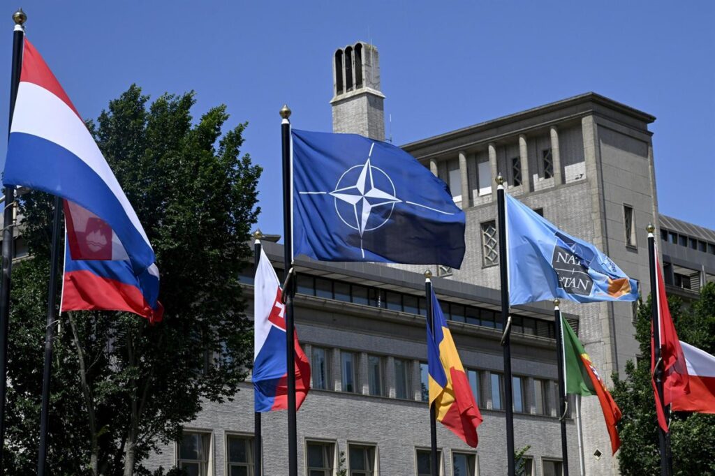 Japón participará a nivel de ministros en la cumbre de la OTAN de la próxima semana
