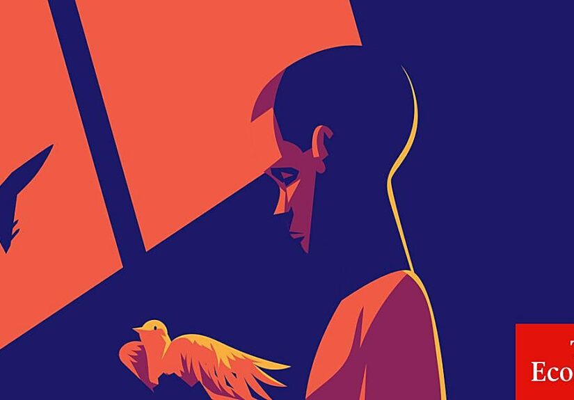 Le presentamos a los nuevos artífices de la paz del mundo