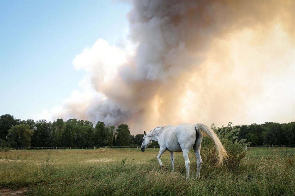 Los incendios en el sur de Francia calcinan más de 12.000 hectáreas y obligan a evacuar a 44.000 personas