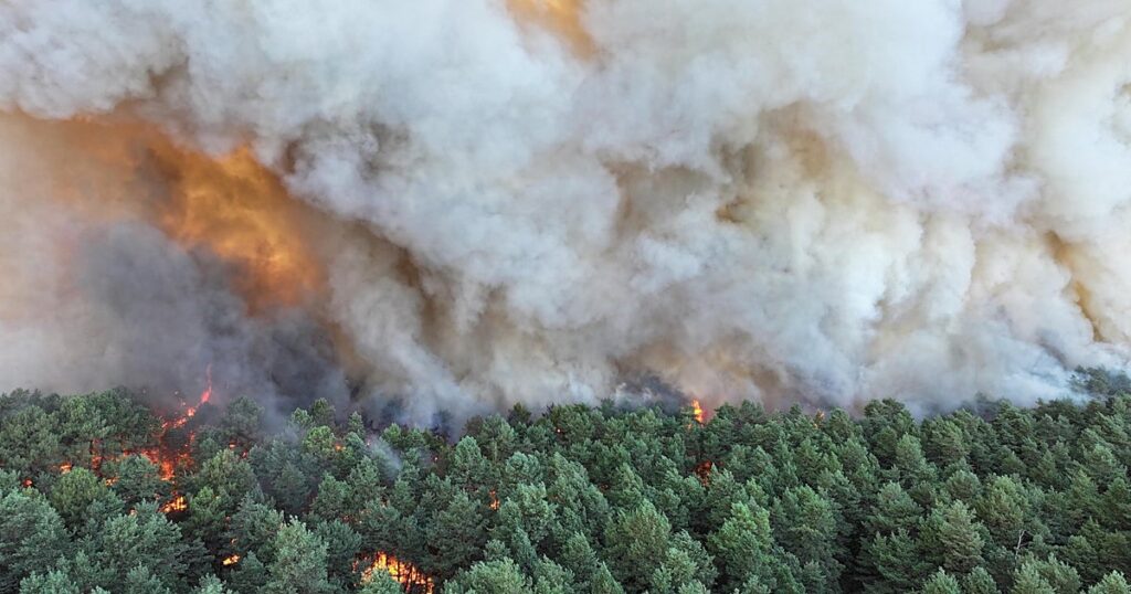 Un incendio devora más de 800 hectáreas en Fontainebleau y afecta los accesos a París