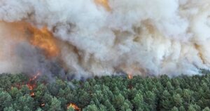 Un incendio devora más de 800 hectáreas en Fontainebleau y afecta los accesos a París