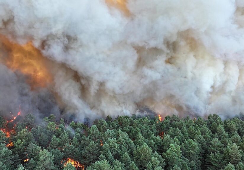 Un incendio devora más de 800 hectáreas en Fontainebleau y afecta los accesos a París