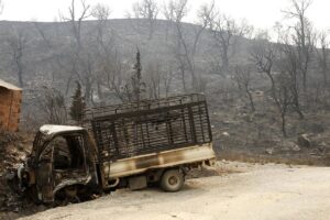 El presidente de Argelia decreta tres días de luto nacional por la muerte de doce personas en incendios forestales