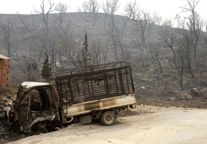 El presidente de Argelia decreta tres días de luto nacional por la muerte de doce personas en incendios forestales