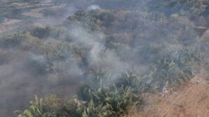 Petro responde a Rodrigo Lara por señalamientos contra la ‘primera línea’ en incendios del Tolima