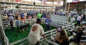 los demócratas entierran a Iowa como arranque de las primarias