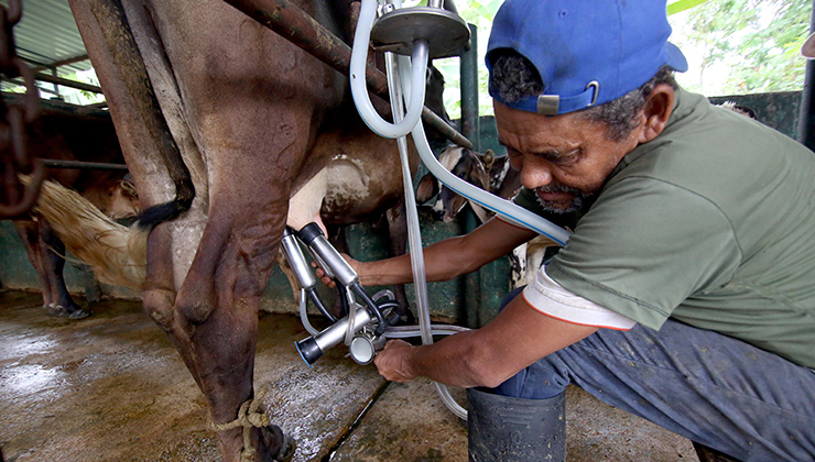¡De nuevo el calvario! Crisis eléctrica pone en jaque a productores e industrias del Táchira