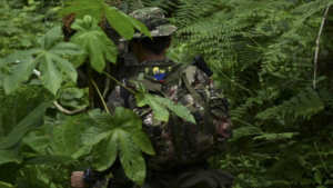 Abaten a alias Rafael en operación militar contra estructura de Calarcá en Guaviare