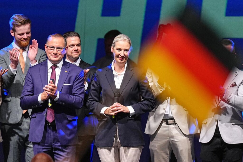 AfD exige elecciones anticipadas a Merz para reemplazarlo "antes de Navidad"
