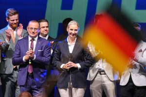 AfD exige elecciones anticipadas a Merz para reemplazarlo "antes de Navidad"
