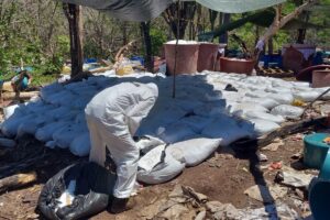 EEUU se atribuye la incautación de 16 toneladas de metanfetamina en Sinaloa, México