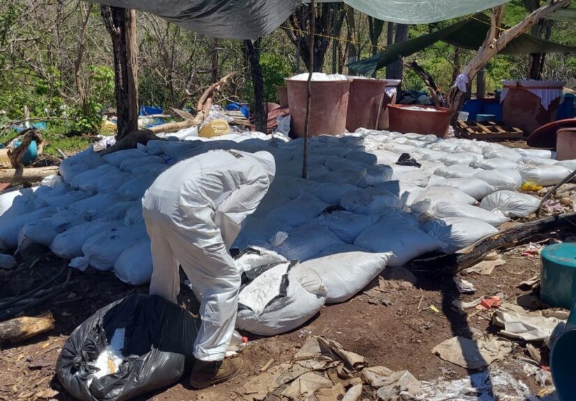 EEUU se atribuye la incautación de 16 toneladas de metanfetamina en Sinaloa, México