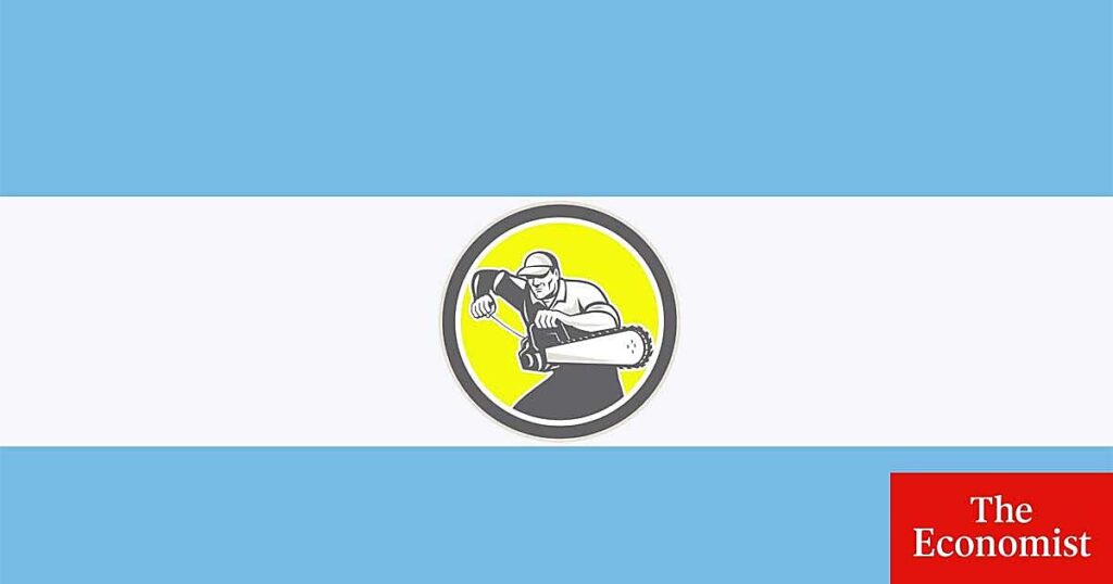 El experimento liberal de Javier Milei atraviesa dificultades