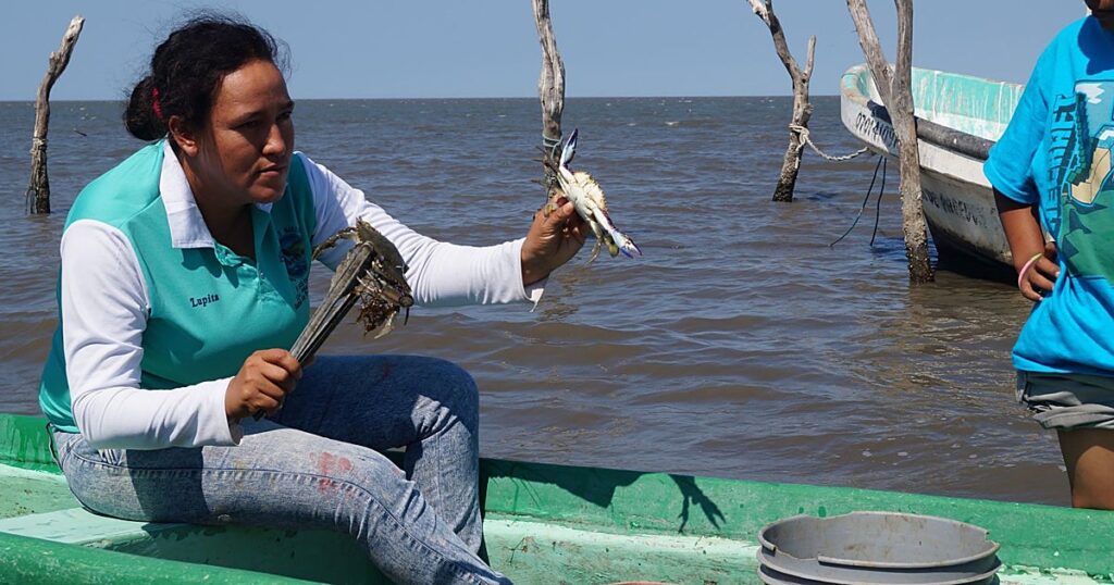 La incursión criminal de las mafias chinas en Chiapas devasta la fauna autóctona