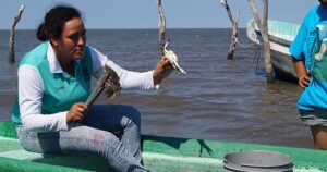 La incursión criminal de las mafias chinas en Chiapas devasta la fauna autóctona