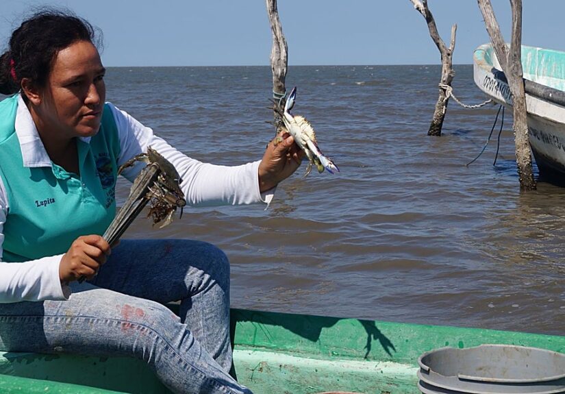 La incursión criminal de las mafias chinas en Chiapas devasta la fauna autóctona
