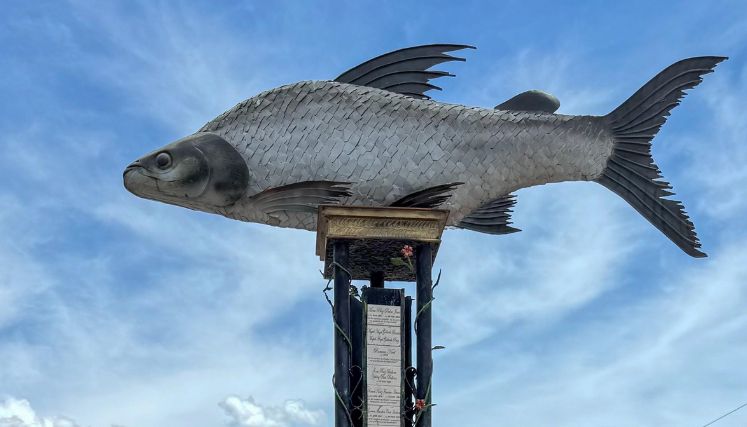 Ocaña rindió homenaje a los desaparecidos del Catatumbo
