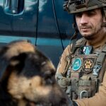 Salvando a los perros de la guerra de Ucrania