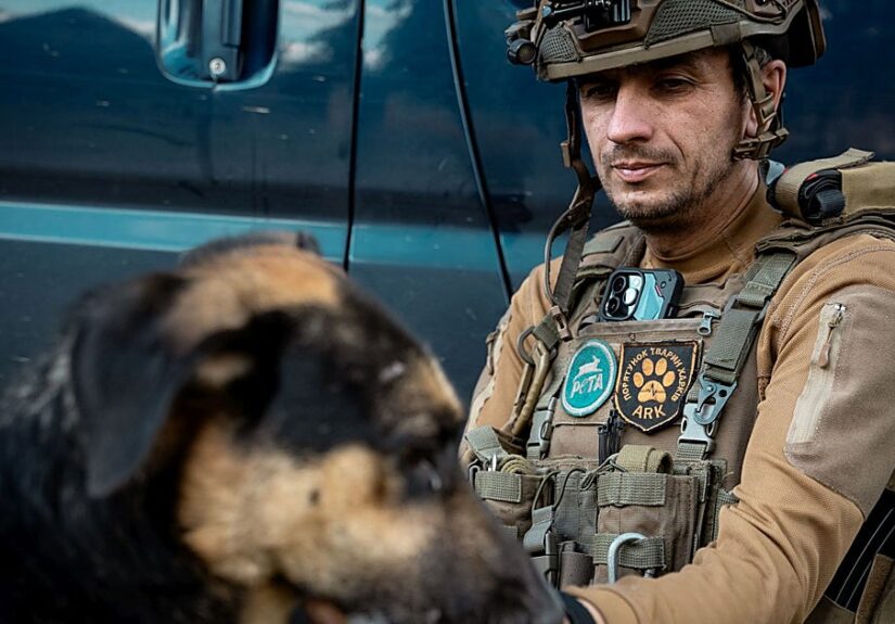 Salvando a los perros de la guerra de Ucrania