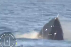 Ucrania informa de su victoria en la primera batalla naval de la historia entre drones