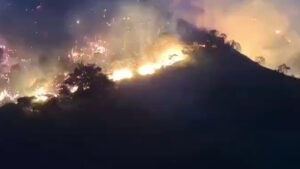 Voraz incendio forestal amenaza al casco urbano de Ábrego